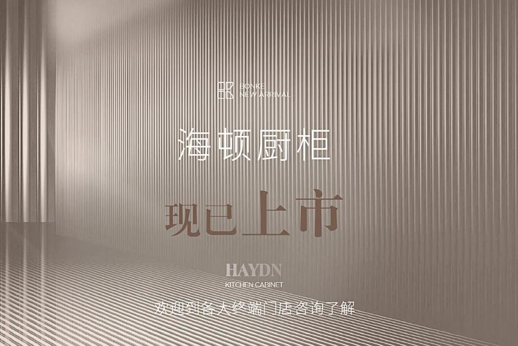 𝟮𝟬𝟮𝟰新品丨海顿 𝗛𝗮𝘆𝗱𝗻：简奢有度，高级刚好！-cq9电子不锈钢橱柜